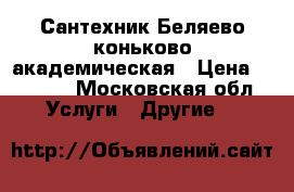 Сантехник Беляево коньково академическая › Цена ­ 1 000 - Московская обл. Услуги » Другие   